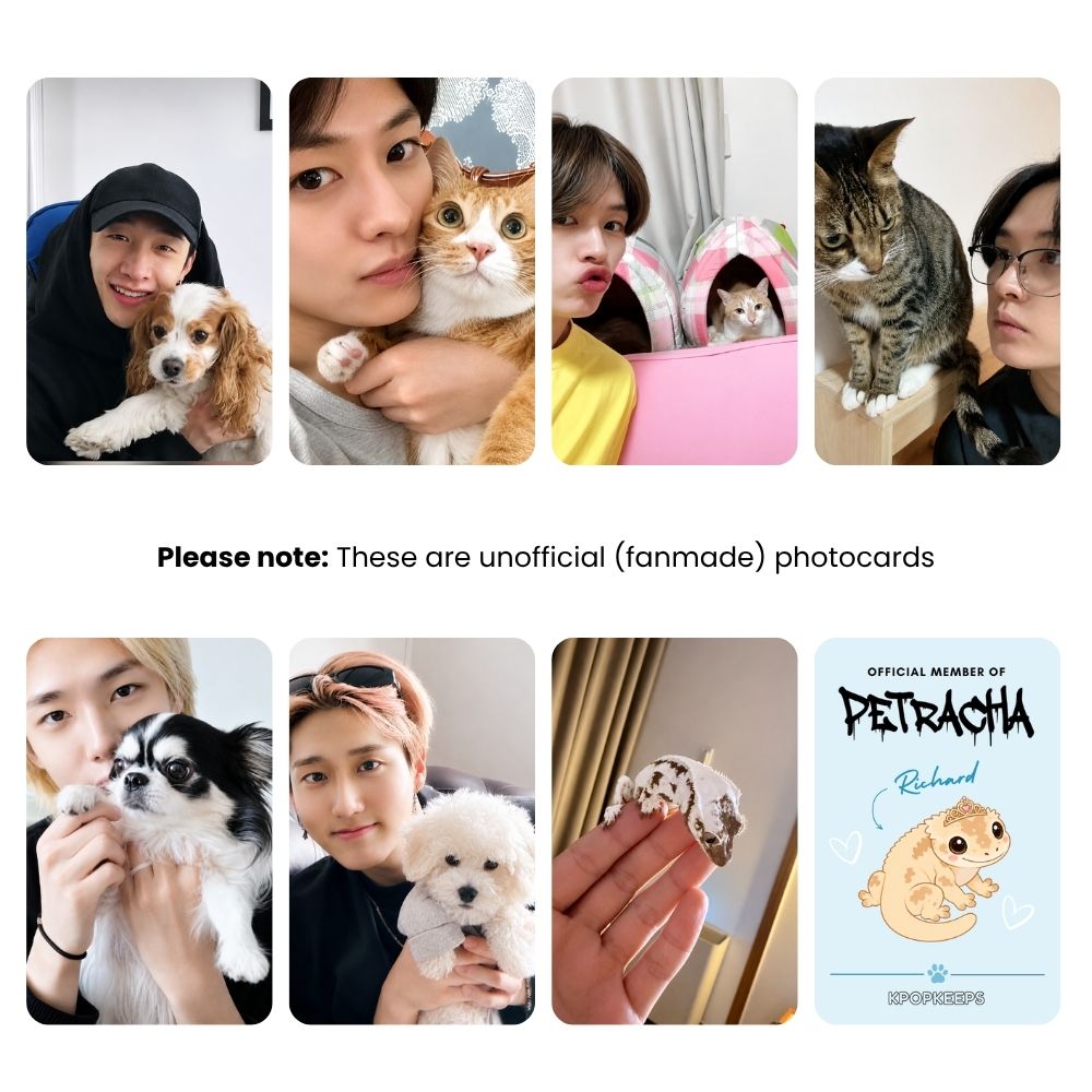 Stray Kids PetRacha Photocard Set | K-Pop Collectible