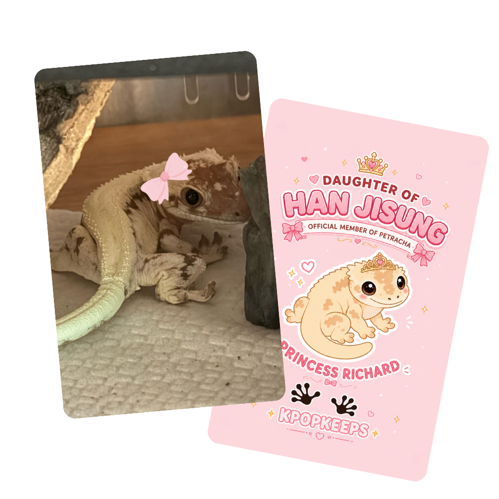 [PRE-ORDER] Princess Richard Photocard