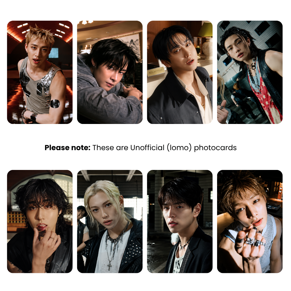 Stray Kids This & That MV Photocards