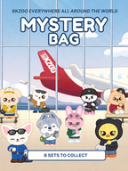 Stray Kids Mystery Bag | SKZOO Everywhere All Around The World
