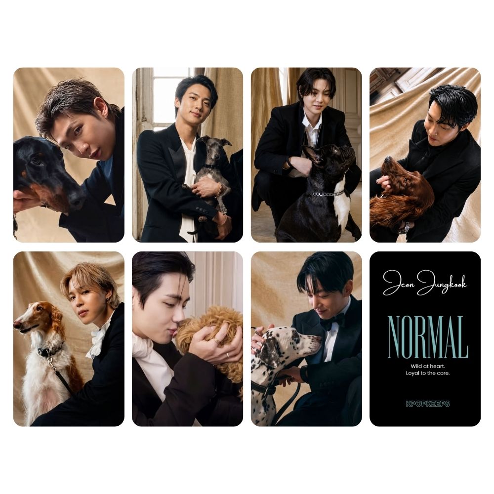 BTS NORMAL MV (SET B) Photocards