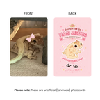 [PRE-ORDER] Princess Richard Photocard