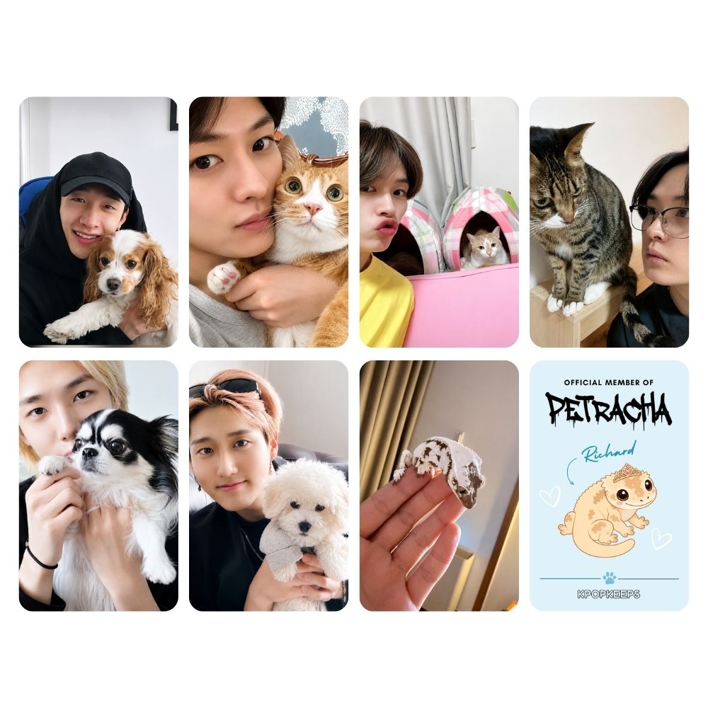 Stray Kids PetRacha Photocard Set | K-Pop Collectible