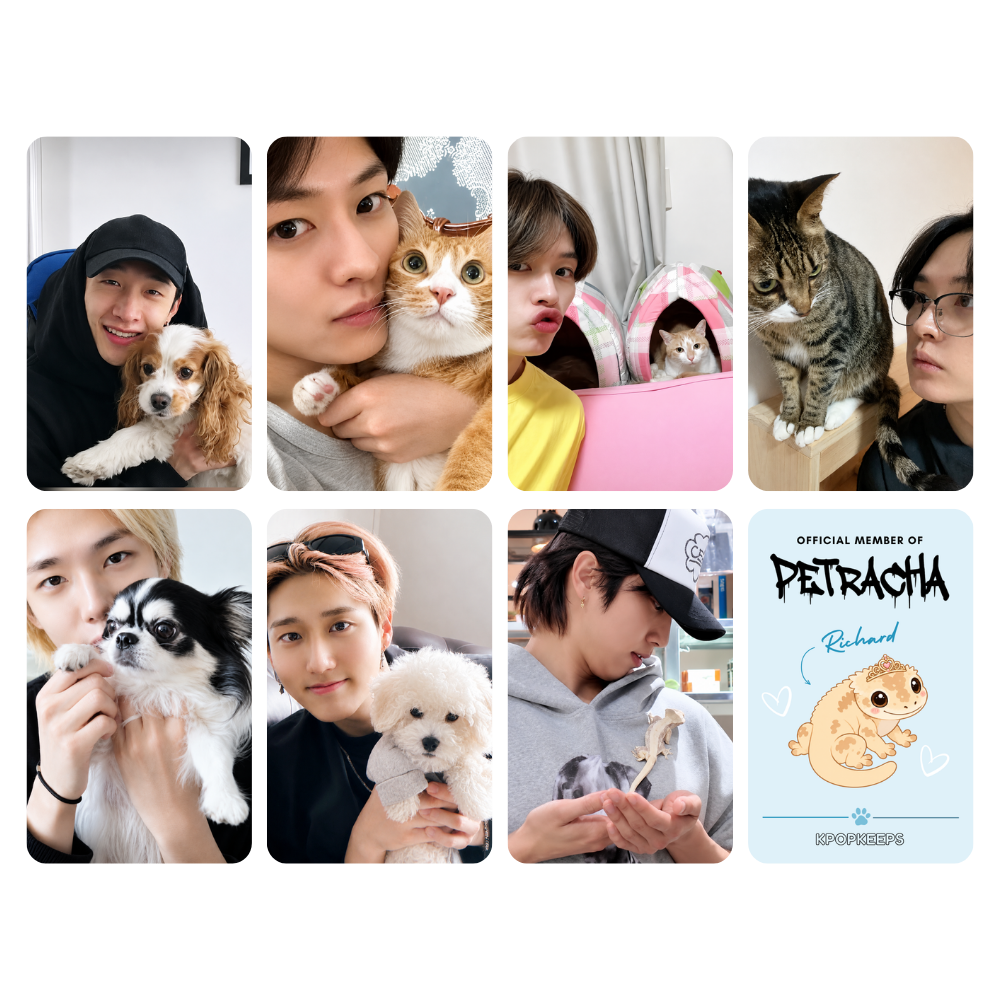 [PRE-ORDER] Stray Kids PetRacha Photocard Set | K-Pop Collectible