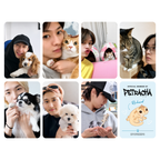 [PRE-ORDER] Stray Kids PetRacha Photocard Set | K-Pop Collectible