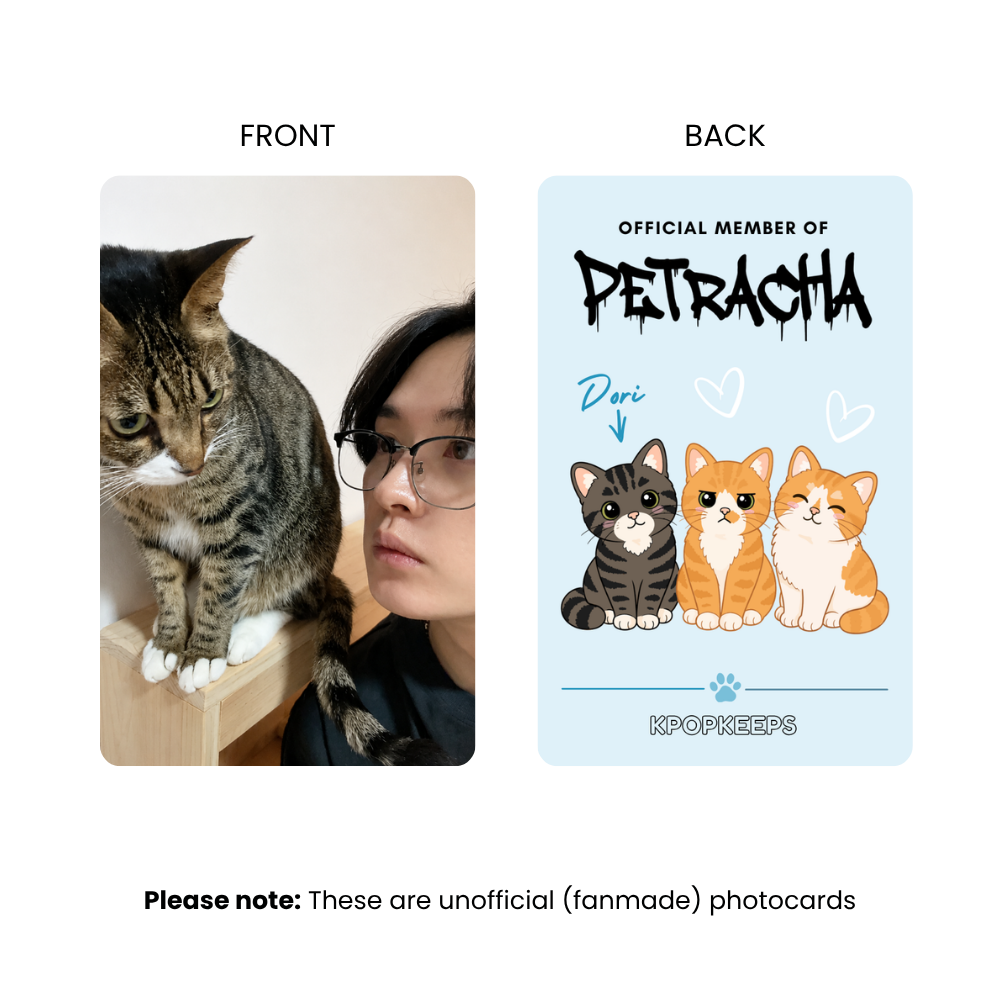 [PRE-ORDER] Stray Kids PetRacha Photocard Set | K-Pop Collectible