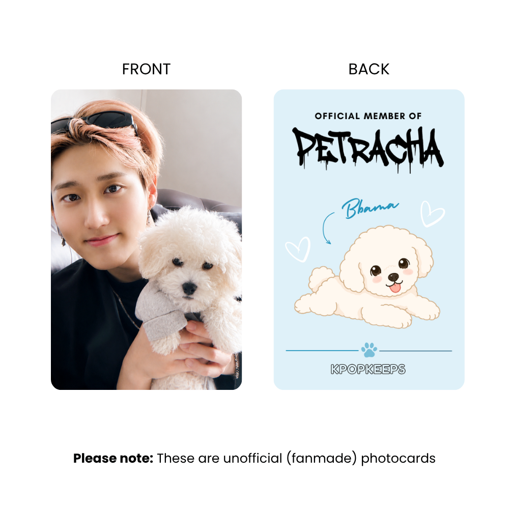 [PRE-ORDER] Stray Kids PetRacha Photocard Set | K-Pop Collectible