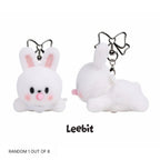 [PRE-ORDER] SKZOO Secret Wind-Up Plush (Random)