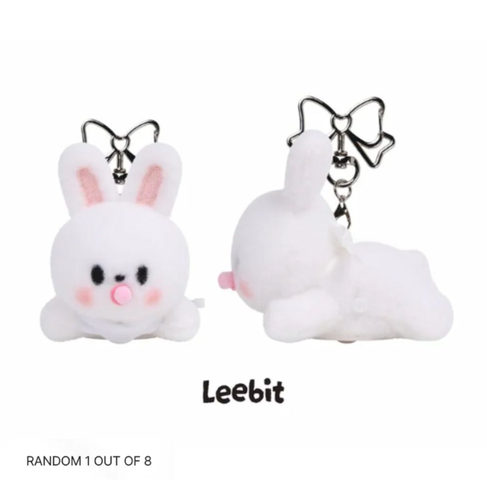 [PRE-ORDER] SKZOO Secret Wind-Up Plush (Random)
