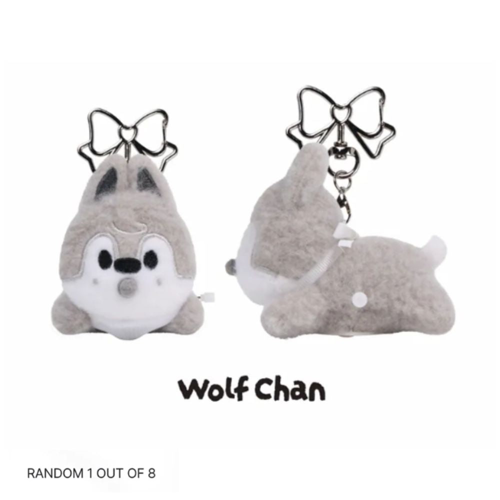 [PRE-ORDER] SKZOO Secret Wind-Up Plush (Random)